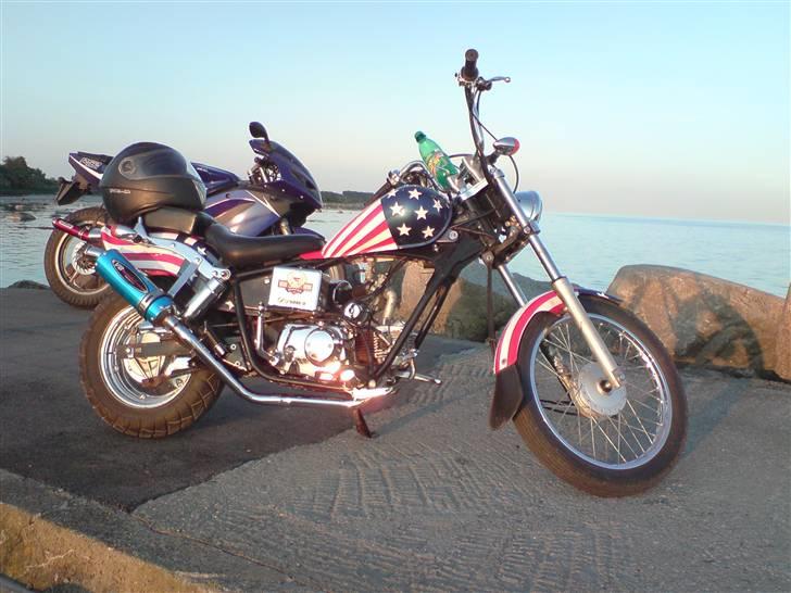 Regal Raptor (USA) [SOLGT] billede 16