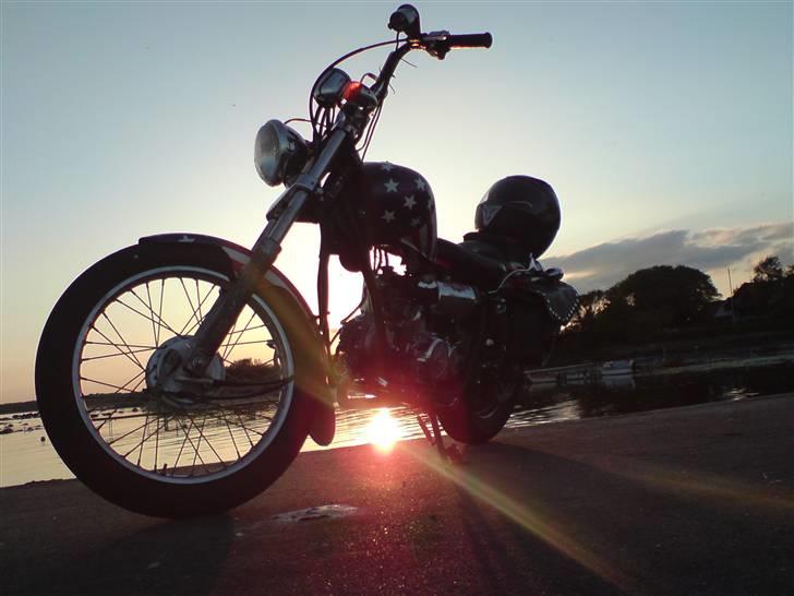 Regal Raptor (USA) [SOLGT] billede 17