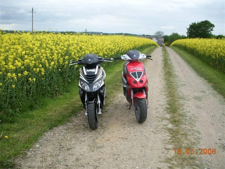 Piaggio NRG Power DT - Solgt billede 11