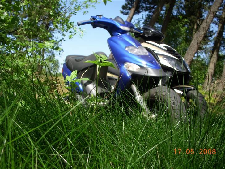 Gilera ""Stalker""<3 billede 7