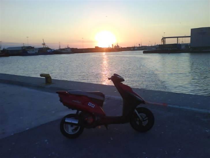 Honda SFX SOLGT!! billede 2