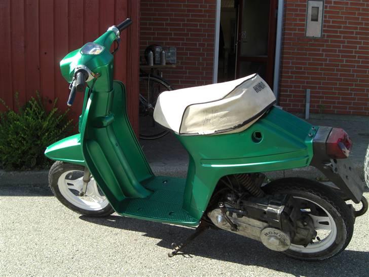 Honda Melody - Ja fin er hun billede 1