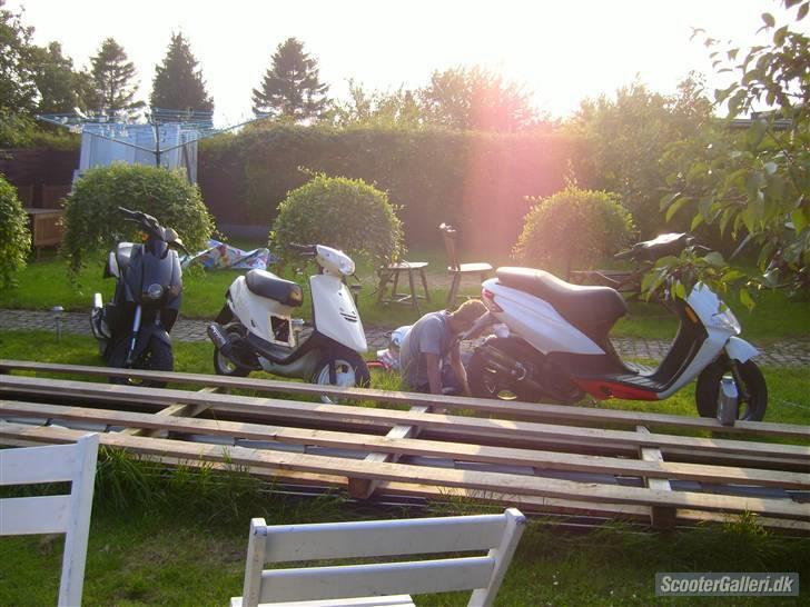 Derbi bullet billede 4