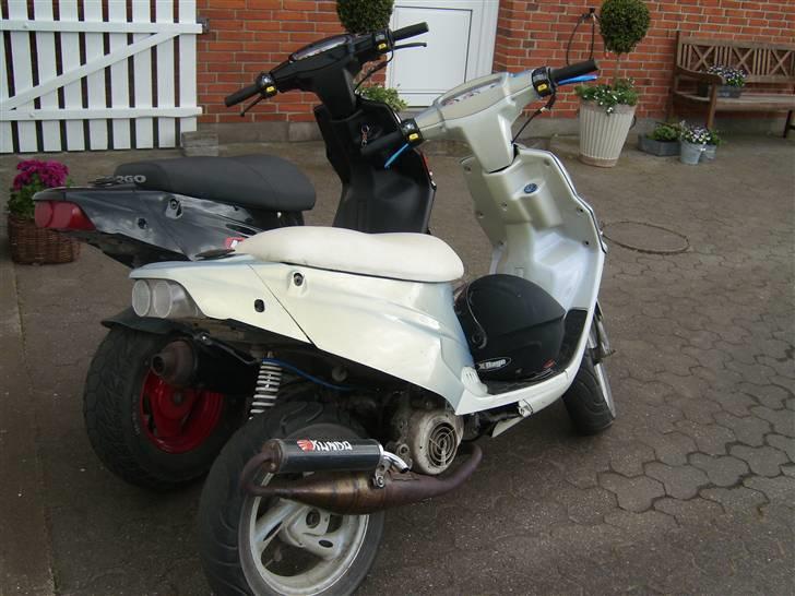 PGO Hot 50  billede 4