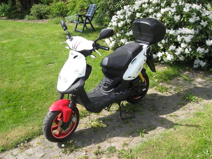 PGO PMX PMMS No Fear ## SOLGT billede 2