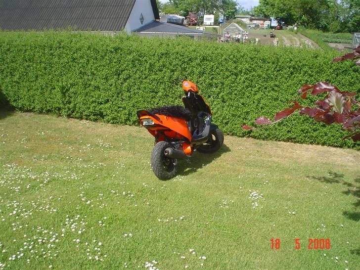 PGO hot 50 (SOLGT) billede 2