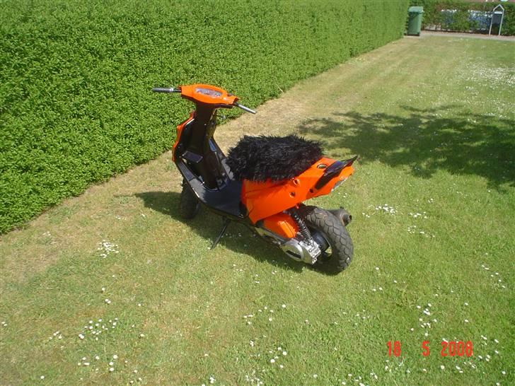 PGO hot 50 (SOLGT) billede 3