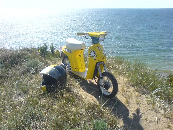 Honda melody- SOLGT billede 1