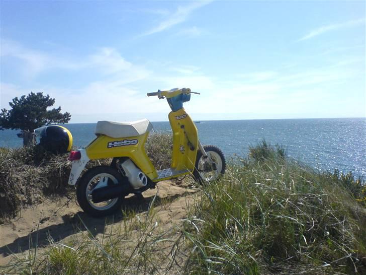 Honda melody- SOLGT billede 3