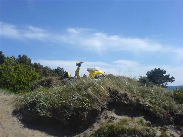 Honda melody- SOLGT billede 4