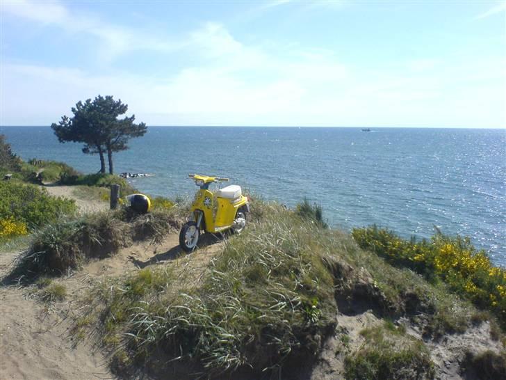 Honda melody- SOLGT billede 5