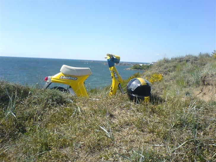 Honda melody- SOLGT billede 6