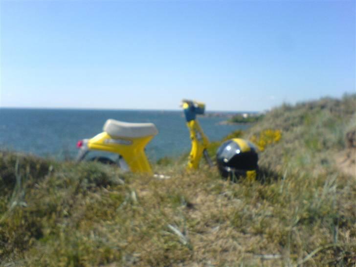 Honda melody- SOLGT billede 7