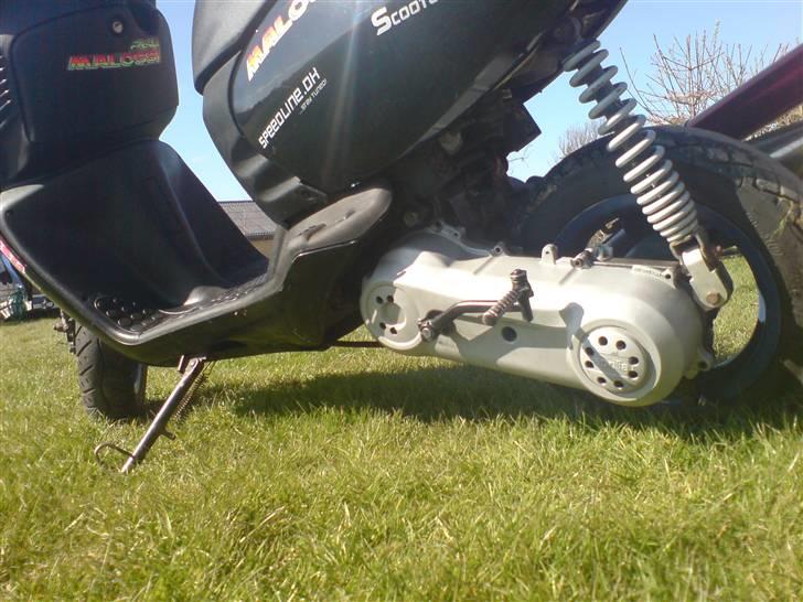 Aprilia sonic [Solgt] billede 4