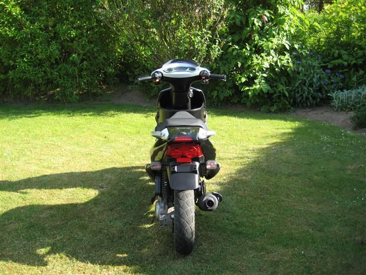 PGO Dr. Big billede 4