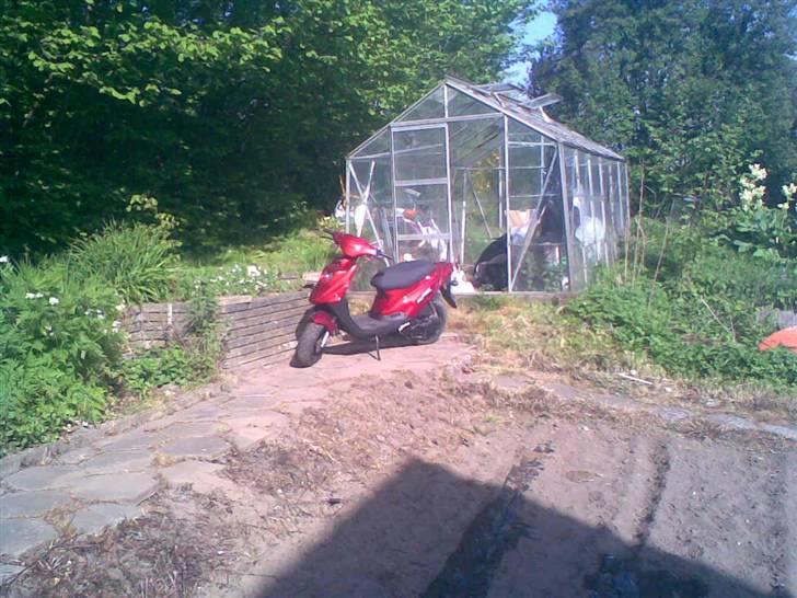 PGO Big max billede 8