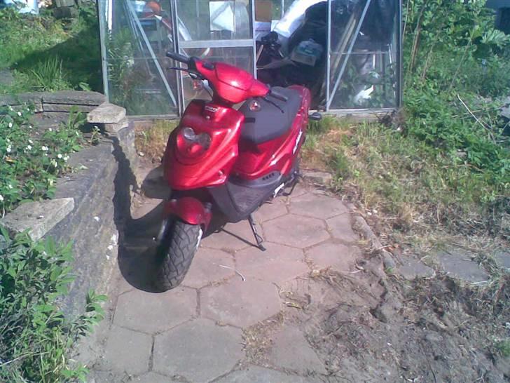 PGO Big max billede 9