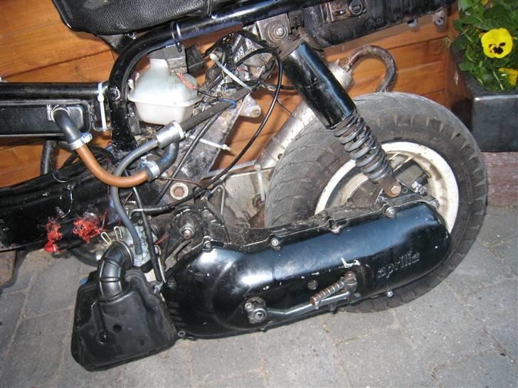 Suzuki FZ50 SOLGT billede 5