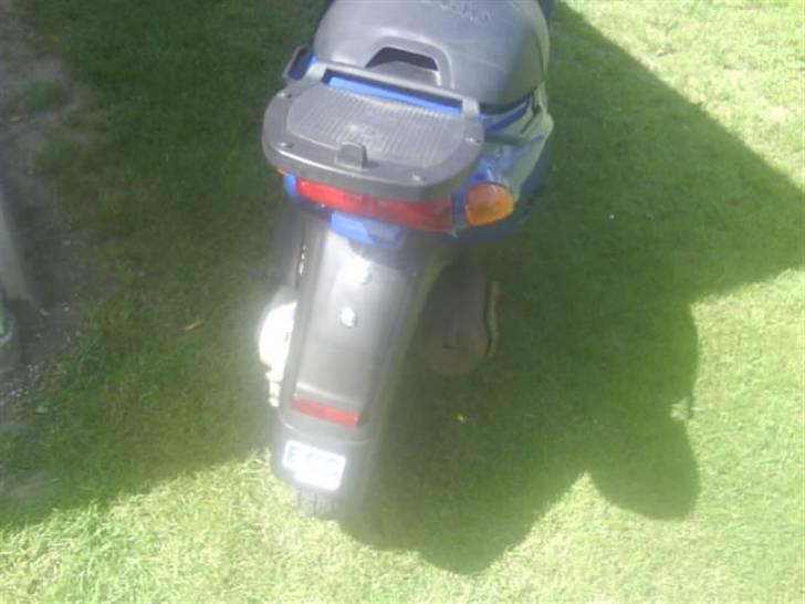 Piaggio typhoon*SOLGT* billede 3