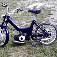 Puch maxi p