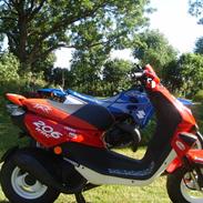 Peugeot >TKR<!!! WRC 206 ! SolgT