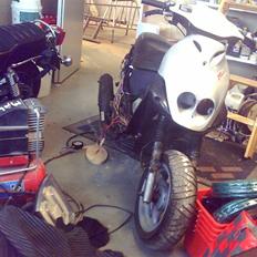 PGO Pmx sport Projekt