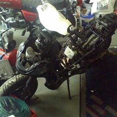 PGO Pmx sport Projekt