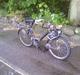 Velo Solex  3800 *solgt*