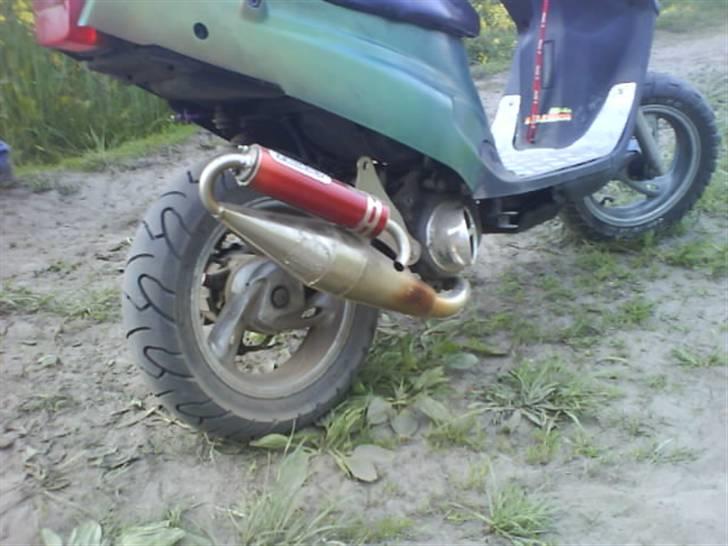 PGO Hot Evo * Vildbassen * billede 7