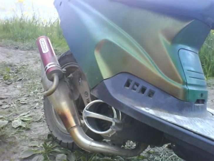 PGO Hot Evo * Vildbassen * billede 9