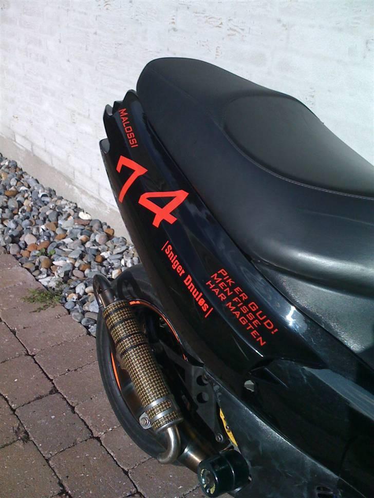 Gilera Runner LC DD (DMU) BYTTET - patte grisen og mig <33 de så søde når de leger. billede 6