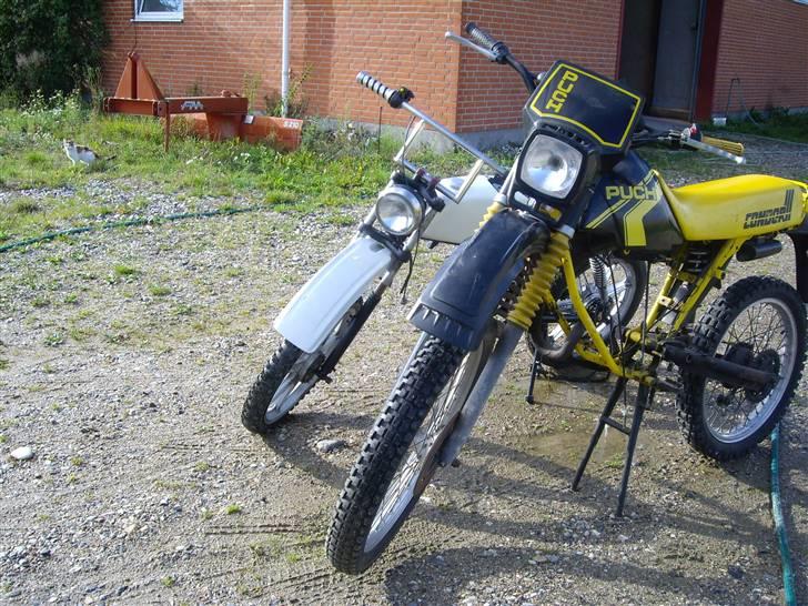 Puch Condor III billede 4