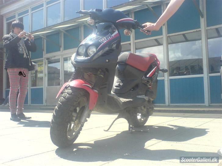 PGO PMX sports [PIMMEREN] billede 1