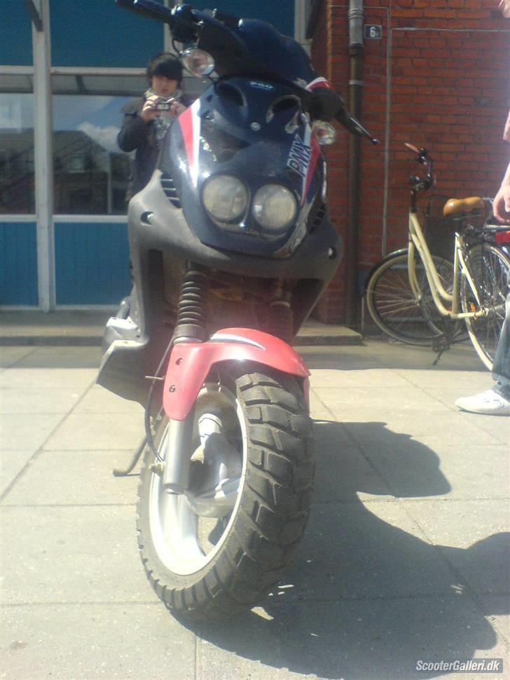 PGO PMX sports [PIMMEREN] billede 3