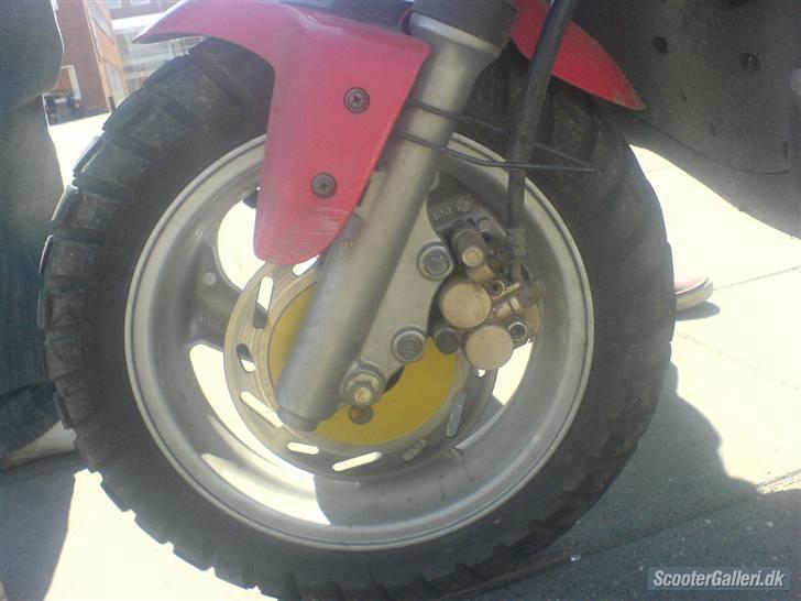 PGO PMX sports [PIMMEREN] billede 6