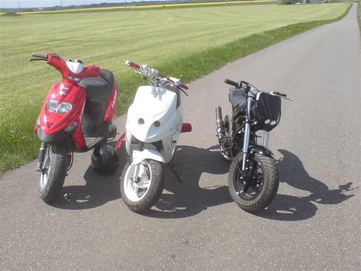 Gilera Stalker (Solgt) billede 4