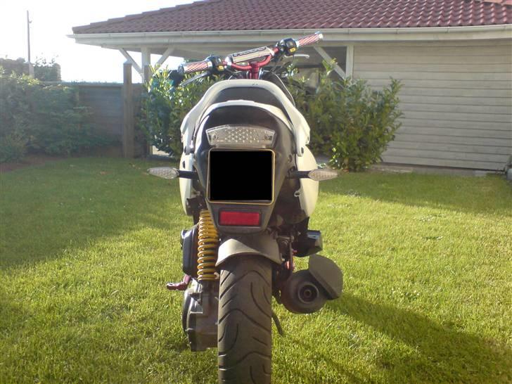 PGO PMX Sport No Fear billede 2