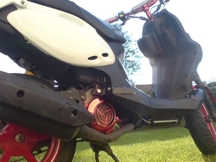 PGO PMX Sport No Fear billede 3