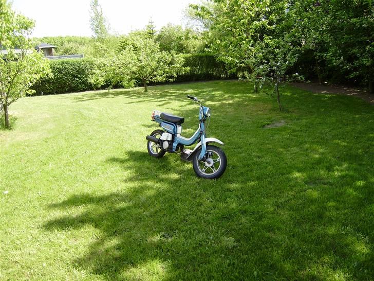 Suzuki fz 50 Solgt billede 2