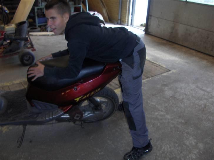 PGO Dr. Big 30-solgt - scooterener er så dejlig at de boller den. billede 1