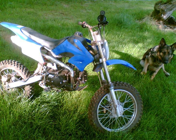 MiniBike Crosser Dirt bike billede 3
