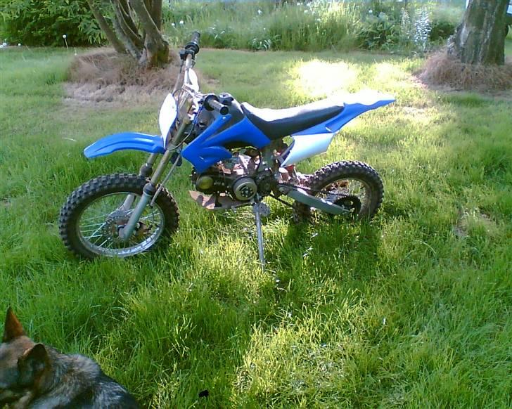 MiniBike Crosser Dirt bike billede 5