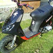 Piaggio Typhoon Limited Edition
