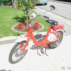 Honda P25/ Little honda :o) SOLGT