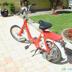 Honda P25/ Little honda :o) SOLGT