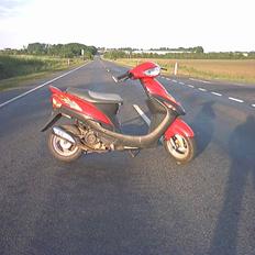 Zhongyu Listo 45 (solgt)