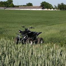 MiniBike honda kopi Solgt !
