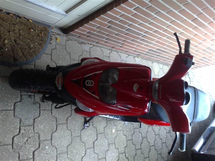 Gilera stalker  (solgt) - nyt billede 2