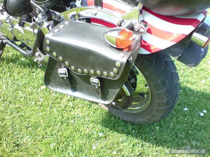Regal raptor(solgt) billede 8