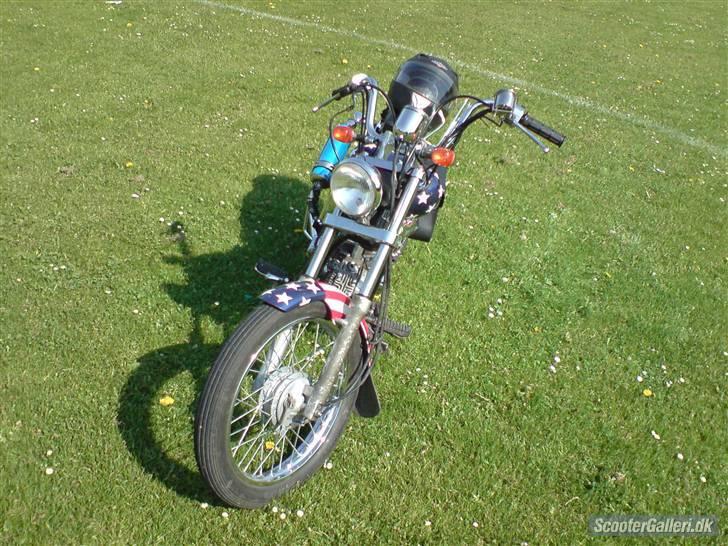 Regal raptor(solgt) billede 11